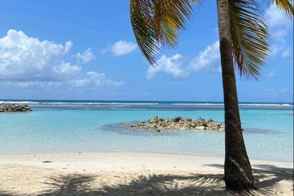Bungalows Malueva 1 Chambre Et 1 Mezzanine A 5Min De La Plage De La Caravelle サンタンヌ エクステリア 写真