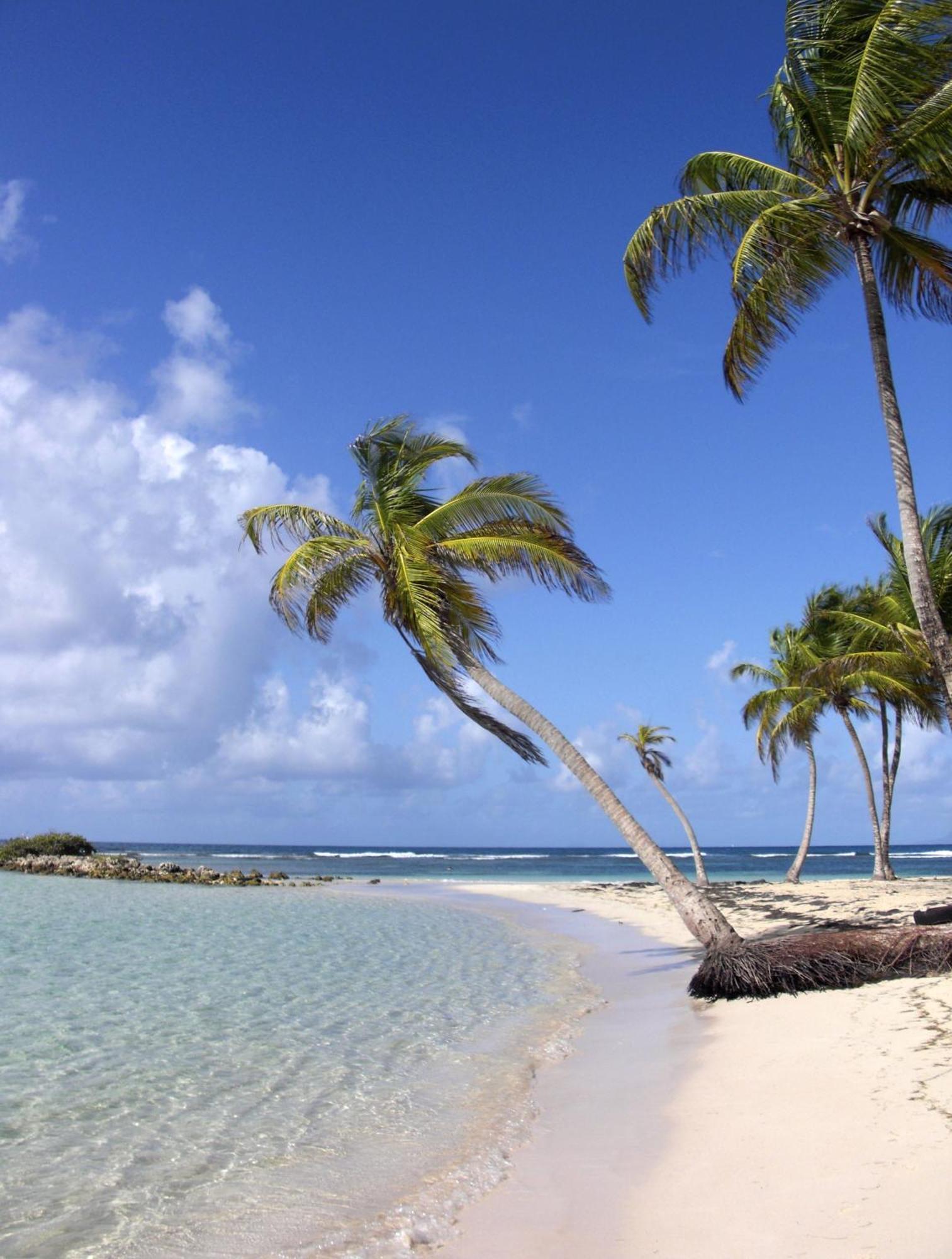 Bungalows Malueva 1 Chambre Et 1 Mezzanine A 5Min De La Plage De La Caravelle サンタンヌ エクステリア 写真